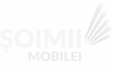 Șoimii Mobilei